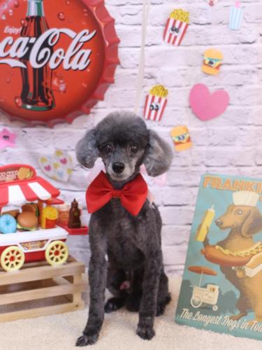 20230930もっぷくん